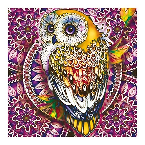ideen-mit-herz-5d-diamond-painting-set-strass-edition-eule-design-1-25x25cm image 5