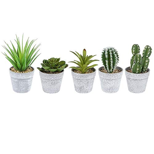ideen-mit-herz-deko-sukkulenten-set-5-st-ck-im-grauen-blumentopf-10-16-cm image 2