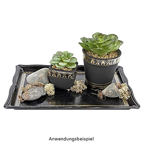 ideen-mit-herz-deko-sukkulenten-set-5-st-ck-im-grauen-blumentopf-10-16-cm image 4