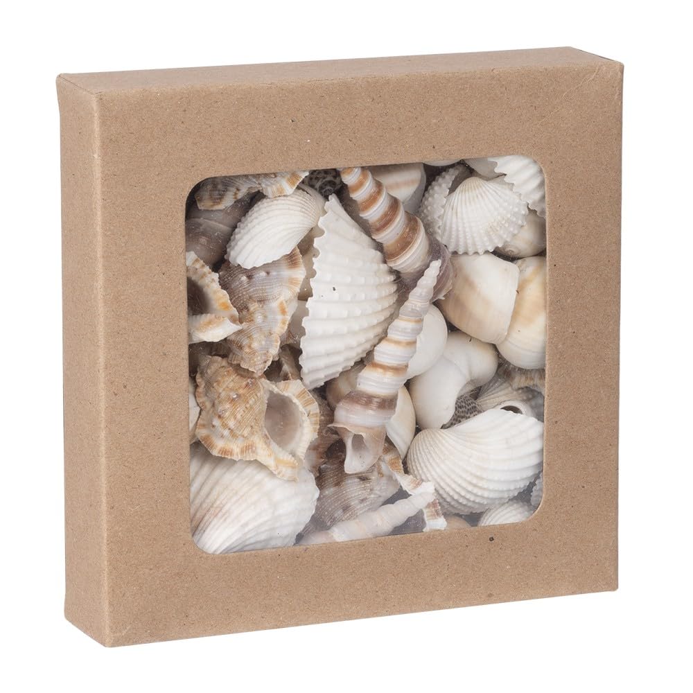 ideen-mit-herz-potpourri-muscheln-natur-450-g-deko image 1