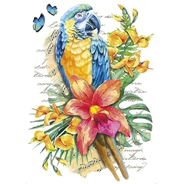 ideen-mit-herz-color-b-geltransfer-papagei-din-a4-textilfolie image 1