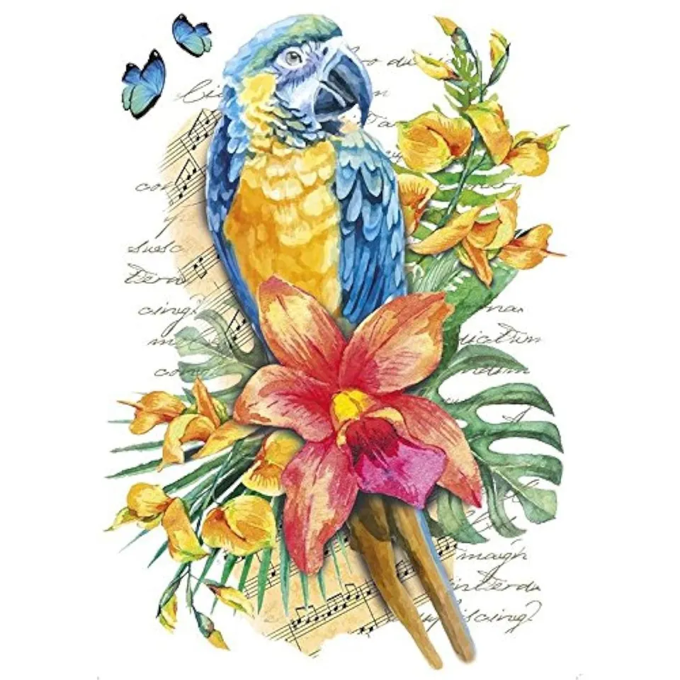 ideen-mit-herz-color-b-geltransfer-papagei-din-a4-textilfolie image 1