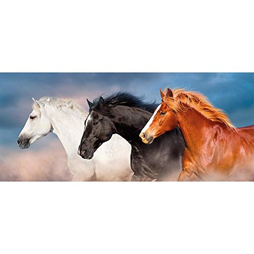 ideen-mit-herz-5d-diamond-painting-pferde-trio-35x75-cm-inkl-werkzeug image 8