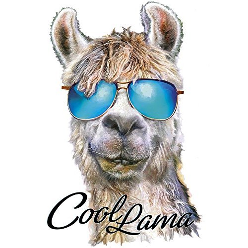 ideen-mit-herz-color-b-geltransfer-din-a4-lama-hello-f-r-baumwoll-textilien image 5