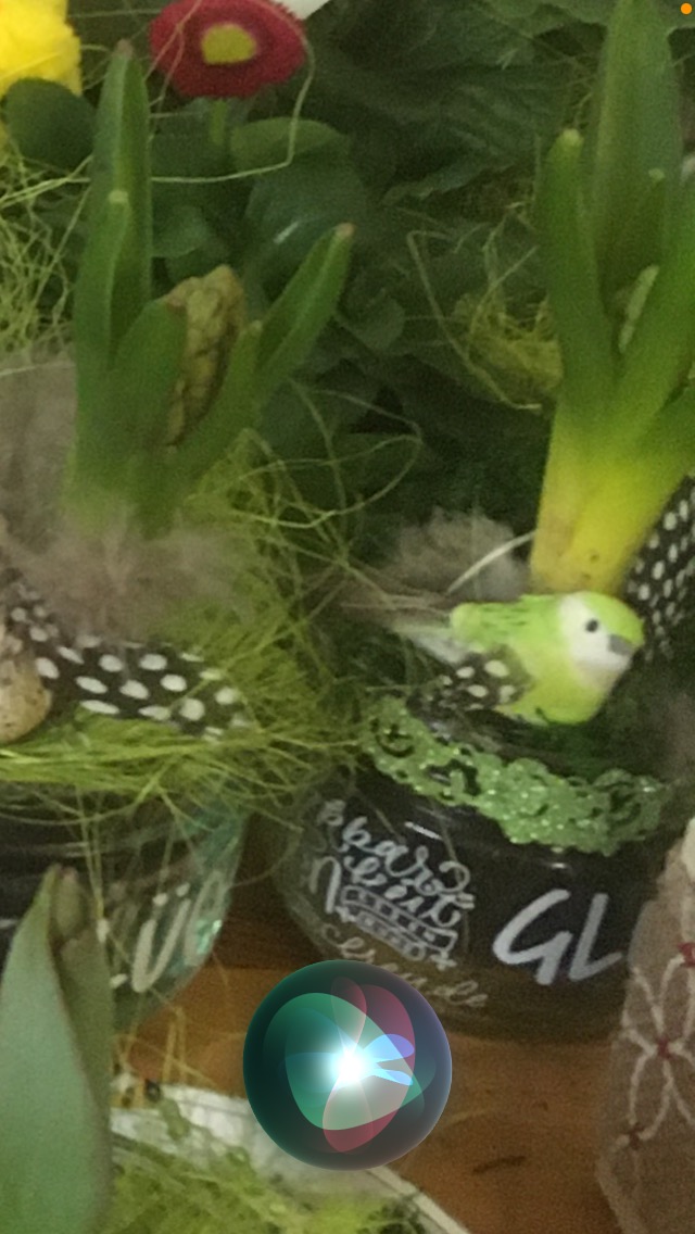 Zauberhafte Frühlingsdeko
