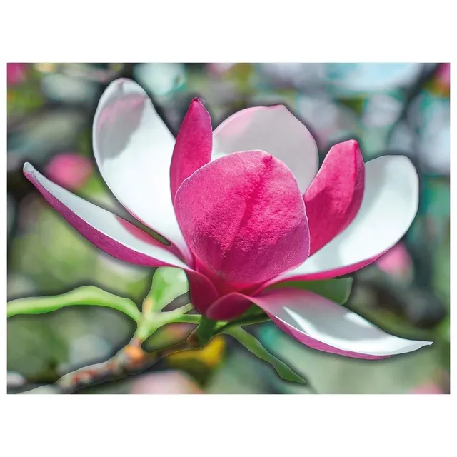 ideen-mit-herz-5d-diamond-painting-set-magnolie-35-x-25-cm-runde-steine-mit-zube image 1