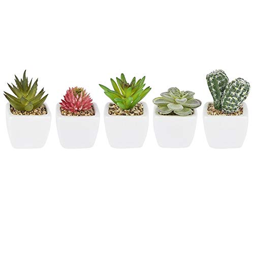 ideen-mit-herz-deko-sukkulenten-set-5-st-ck-im-grauen-blumentopf-10-16-cm image 7