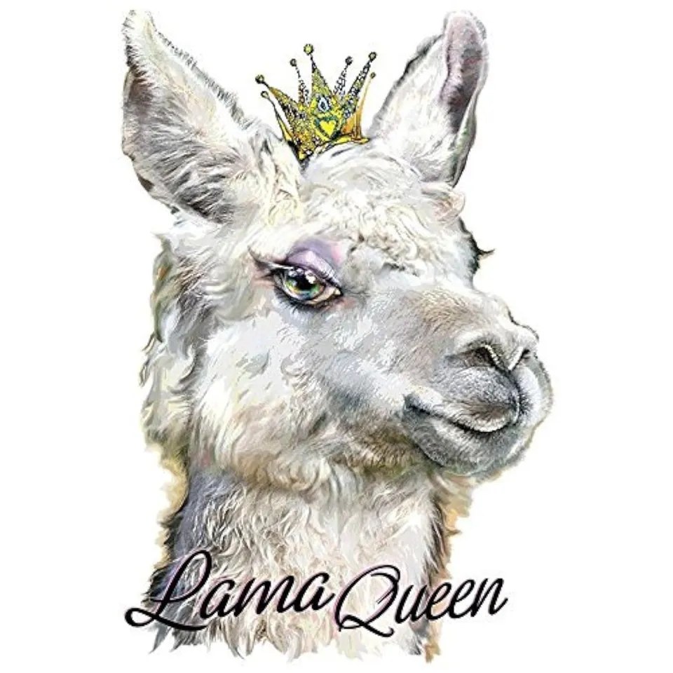 ideen-mit-herz-color-b-geltransfer-din-a4-lama-hello-f-r-baumwoll-textilien image 1