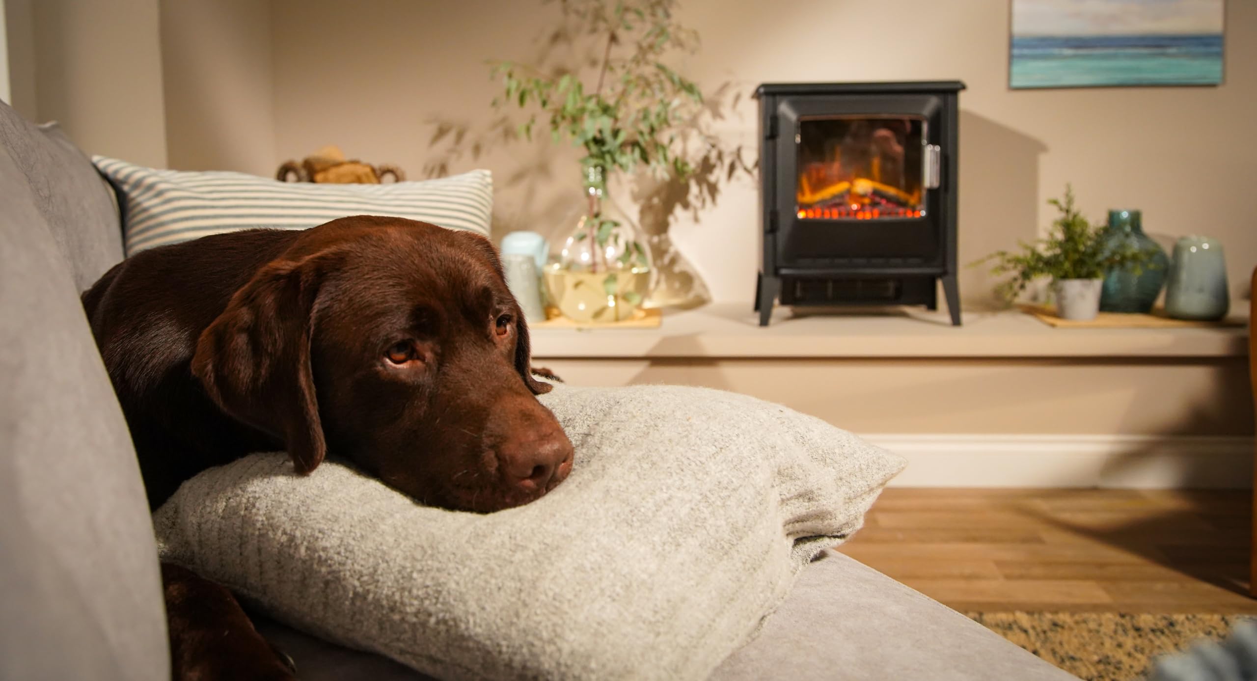 dimplex-lucia-elektrokamin-freistehend-optiflame-schwarz-mit-heizung-und-fernbed image 6