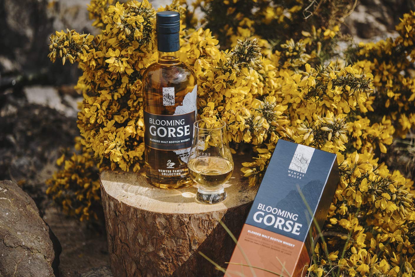 wemyss-malts-blooming-gorse-blended-malt-scotch-whisky-0-7l image 5