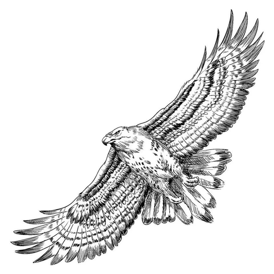 ideen-mit-herz-feinkontur-stempel-adler-15-x-15-cm image 1