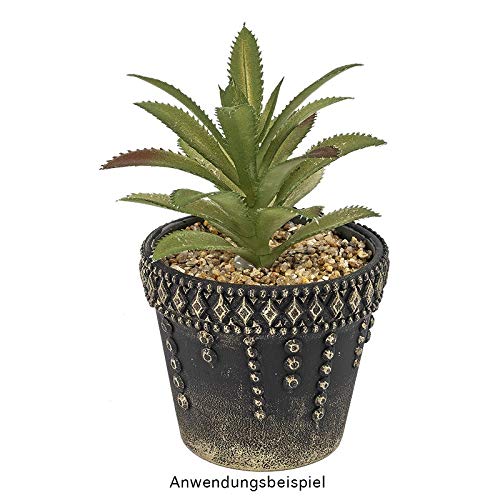 ideen-mit-herz-deko-sukkulenten-set-5-st-ck-im-grauen-blumentopf-10-16-cm image 3