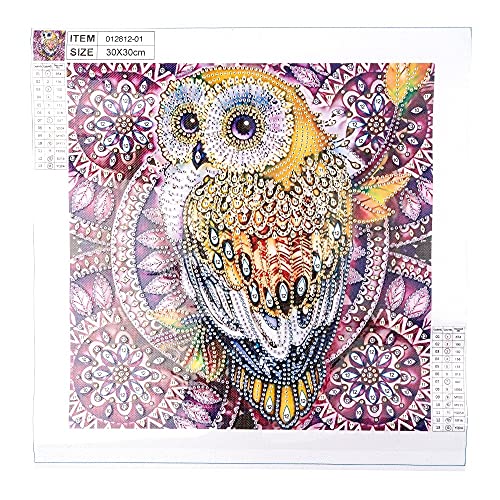 ideen-mit-herz-5d-diamond-painting-set-strass-edition-eule-design-1-25x25cm image 7