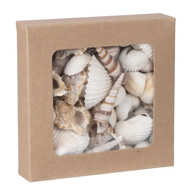 ideen-mit-herz-potpourri-muscheln-natur-450-g-deko image 1