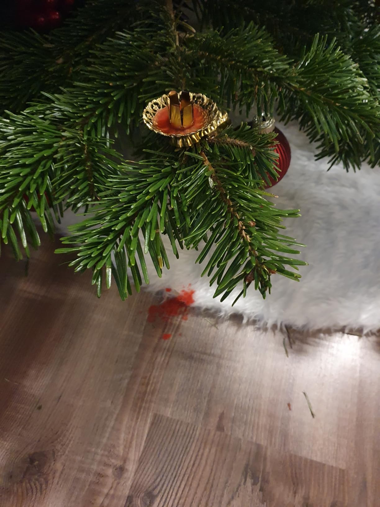 Sicher am Baum