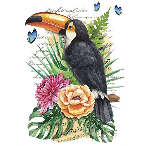 ideen-mit-herz-color-b-geltransfer-papagei-din-a4-textilfolie image 6