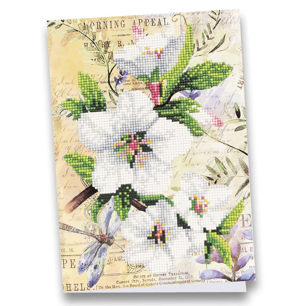 ideen-mit-herz-diamond-painting-gru-karte-koalas-din-a4-komplettset-mit-umschlag image 8