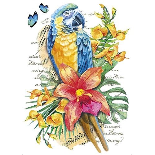 ideen-mit-herz-color-b-geltransfer-papagei-din-a4-textilfolie image 3
